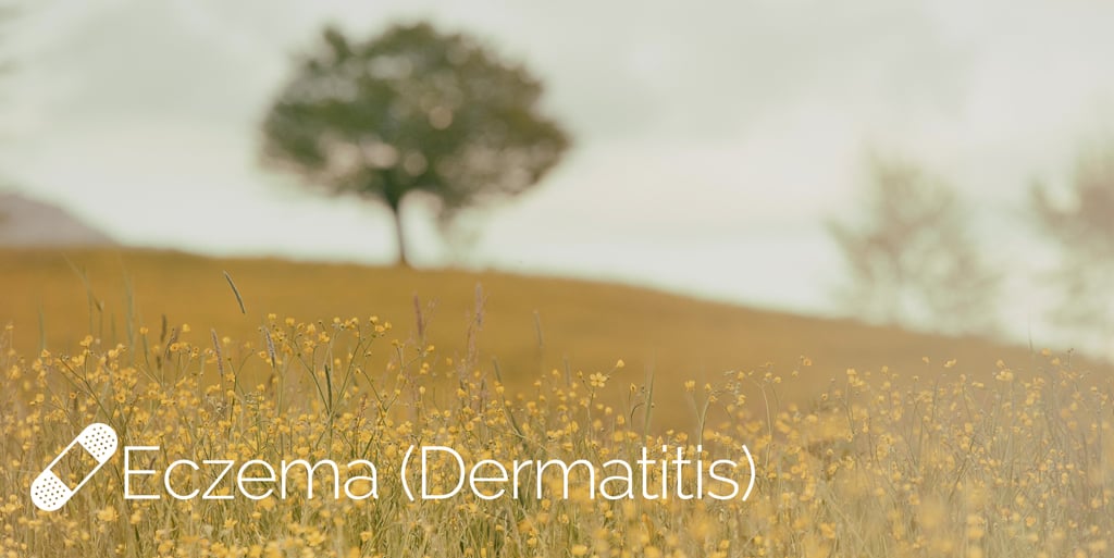 Eczema and dermatitis skin next steps