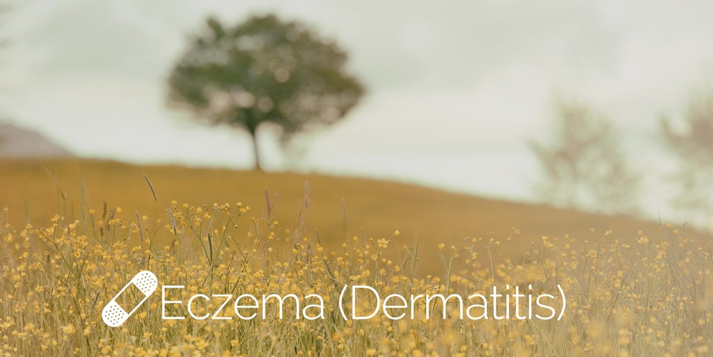 Eczema / Dermatitis Diagnosis: Next Steps