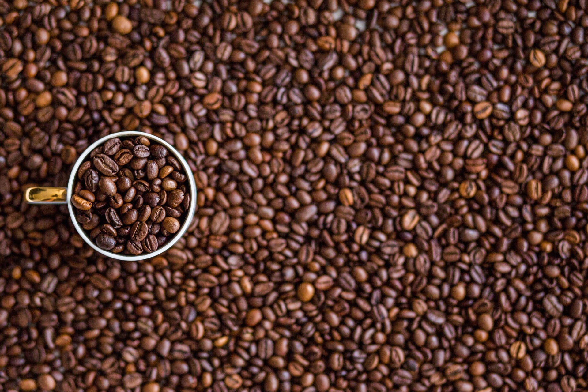 antioxidant caffeine mug coffee beans skin care beauty products 