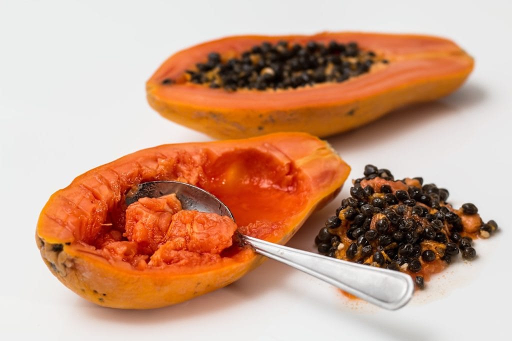 Mardol Papaya Salmonella 