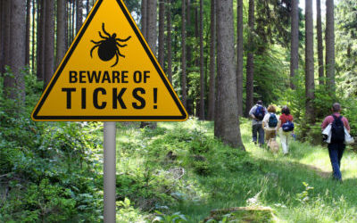 Lyme Disease on the rise?