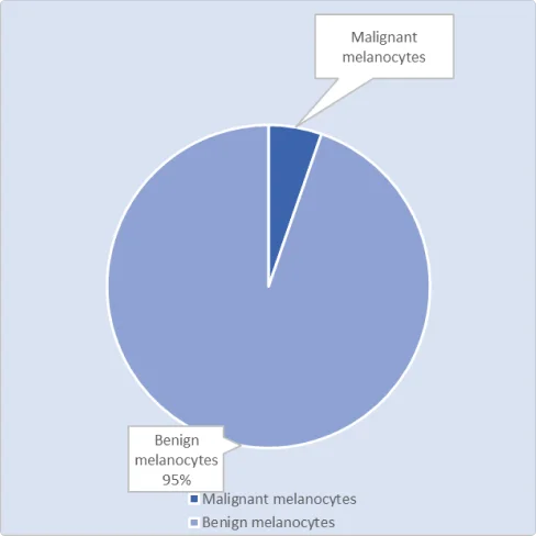 A pie chart that shows the proportion of skin conditions with malignant or benign melanocytes. The pie chart has two slices: one for malignant melanocytes and one for benign melanocytes. The slice for malignant melanocytes occupies a very small fraction of the pie chart, while the slice for benign melanocytes occupies almost the entire pie chart. The pie chart is based on the data acquired through First Derm, a skin cancer screening platform. The pie chart illustrates that benign melanocyte conditions are much more prevalent than malignant ones, with 1317 cases versus 74 cases